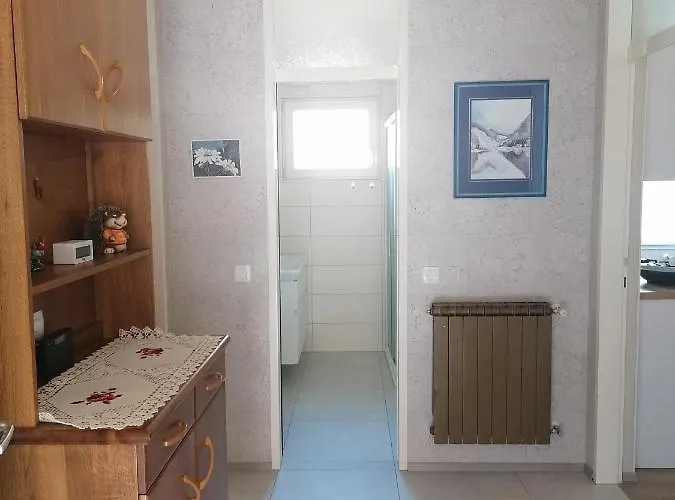 Apartmaji Valter 公寓 *