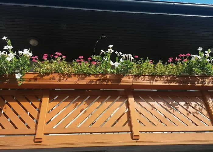 Apartmaji Valter 公寓 *